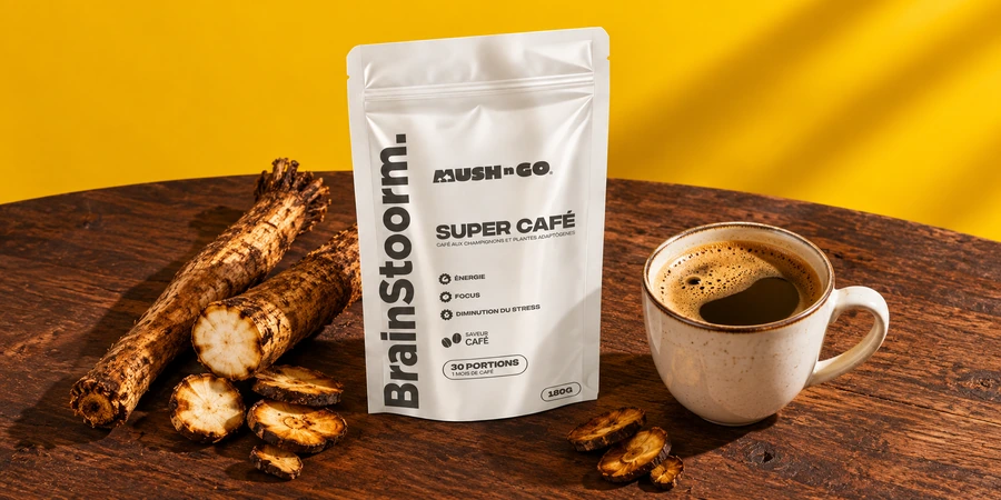 Sachet blanc Brainstoorm de Mush N Go à côté de racines de chicorée torréfiées et d’une tasse